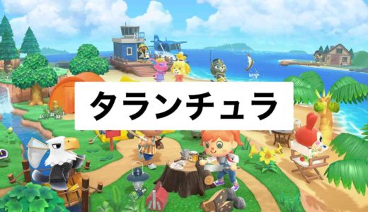 【あつ森】タランチュラの売値・生息時期・捕まえ方まとめ【あつまれどうぶつの森】